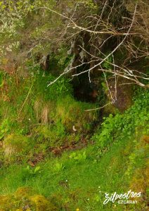 fuentes_manantiales_alto_oja_montes_ezcaray_mochitia_ortigal_patrimonio