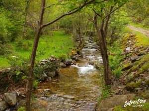 rutas_paseos_excursiones_wikiloc_trekking_sierra_demanda_alto_oja_ezcaray_empresa_guias