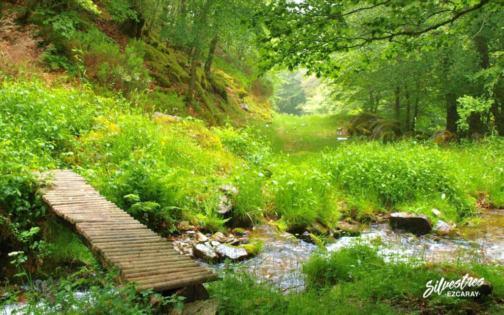 siete puentes_las_mejores_rutas_senderismo_en_ezcaray_la rioja_guia_de_naturaleza