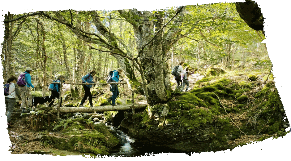 TURISMO DE NATURALEZA y MONTAÑA