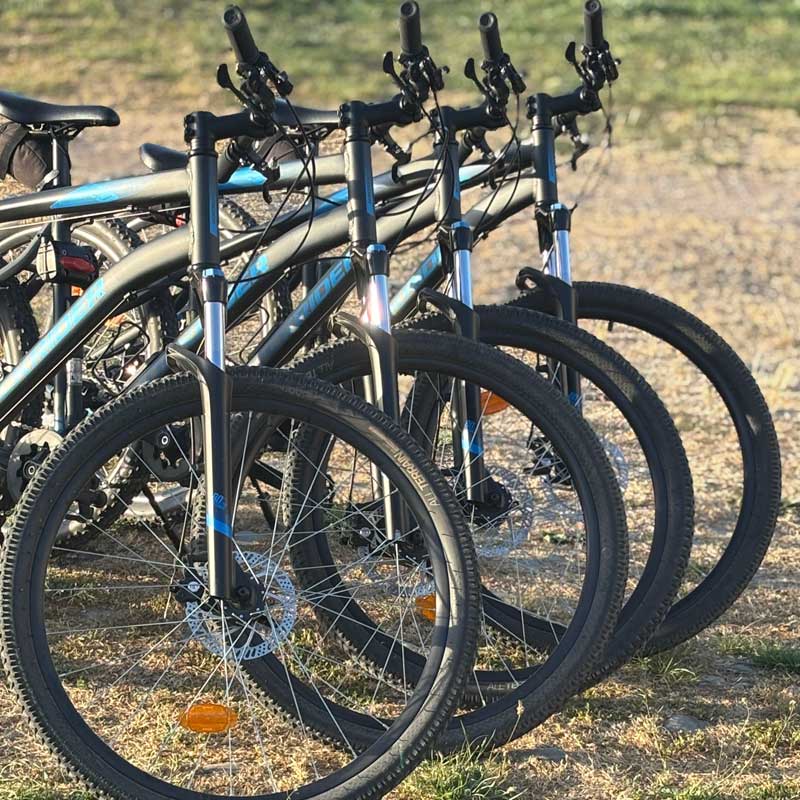 alquiler bicicletas silvester ezcaray